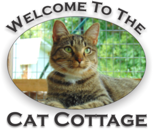Cat Cottage