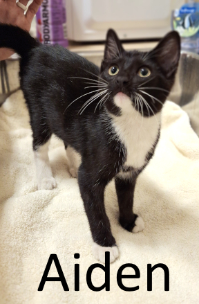 Stone County Humane Society