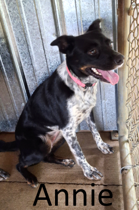 Stone County Humane Society