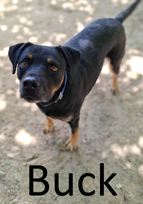 Stone County Humane Society