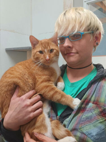 Caryn Williams, Animal Care