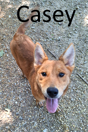 Stone County Humane Society