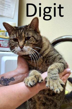 Stone County Humane Society