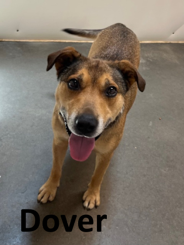 Stone County Humane Society