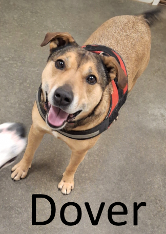 Stone County Humane Society