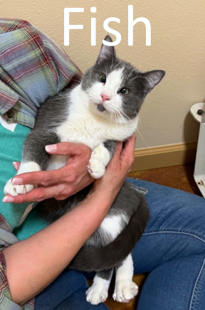 Stone County Humane Society