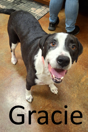 Stone County Humane Society