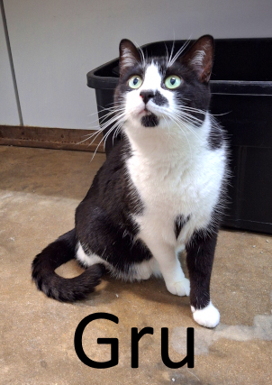 Stone County Humane Society