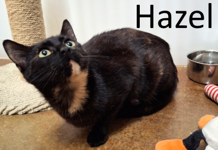 Stone County Humane Society