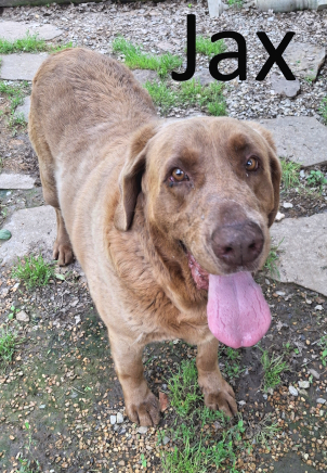 Stone County Humane Society