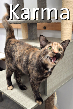 Stone County Humane Society