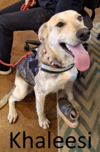 Stone County Humane Society