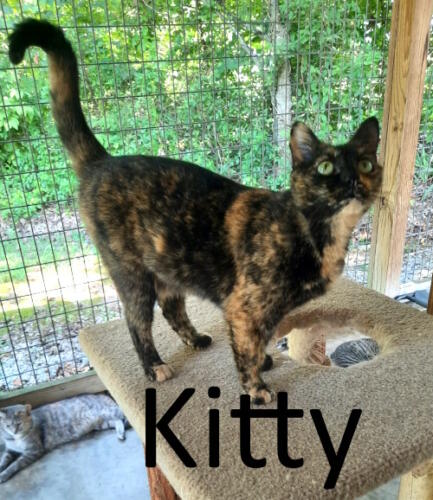 Stone County Humane Society