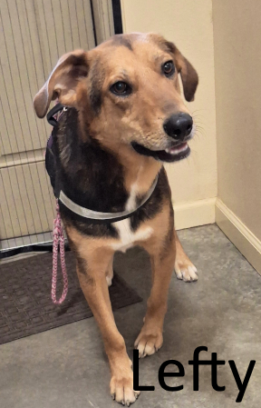 Stone County Humane Society
