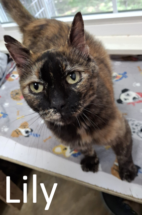 Stone County Humane Society