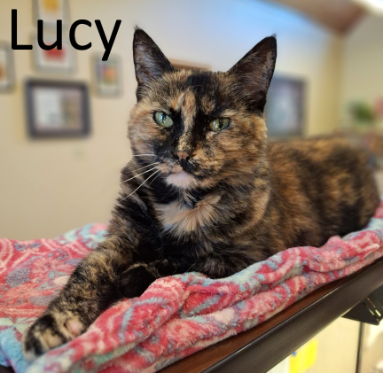 Stone County Humane Society