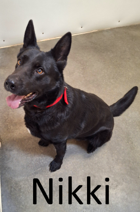 Stone County Humane Society