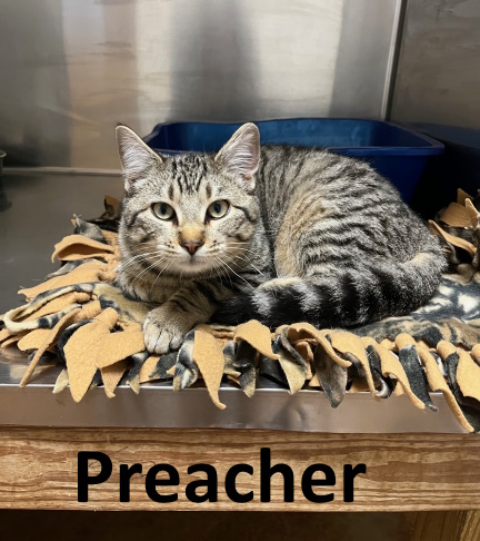 Stone County Humane Society