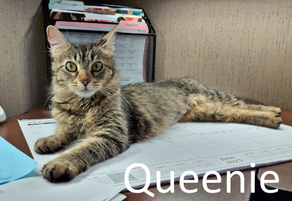 Stone County Humane Society
