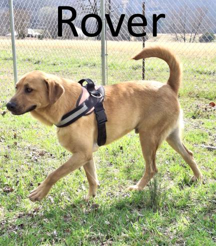 Stone County Humane Society