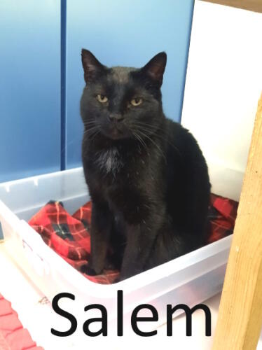 Stone County Humane Society