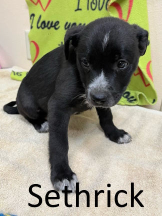 Stone County Humane Society