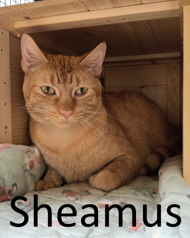 Stone County Humane Society