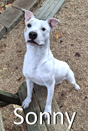 Stone County Humane Society