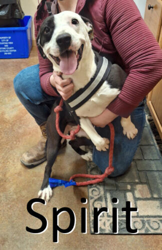 Stone County Humane Society