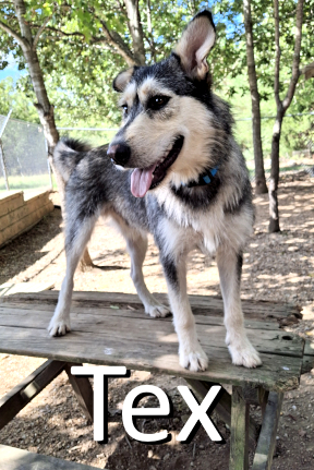 Stone County Humane Society