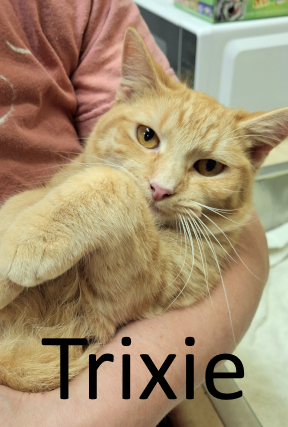 Stone County Humane Society